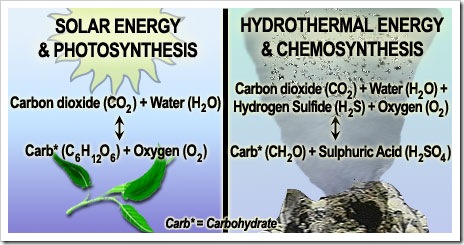 Chemosynthesis formula